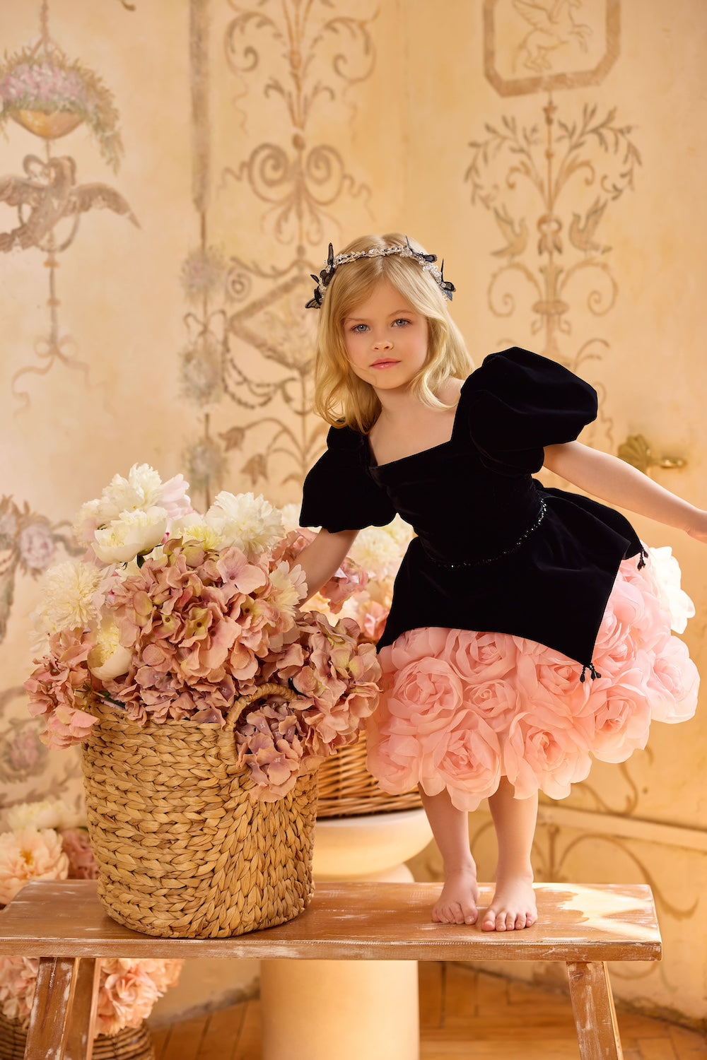 Bloom in Velvet